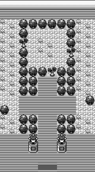 Celadon Gym map