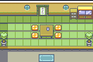 Route110 Trick House Entrance map