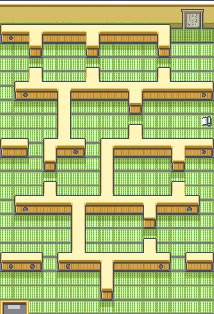 Route110 Trick House Puzzle1 map