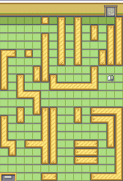 Route110 Trick House Puzzle6 map