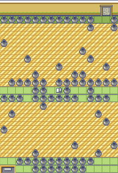 Route110 Trick House Puzzle8 map