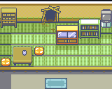 Route114 Fossil Maniacs House map