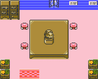 Safari Zone Wardens Home map