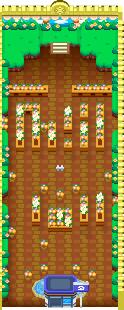 Celadon Gym map