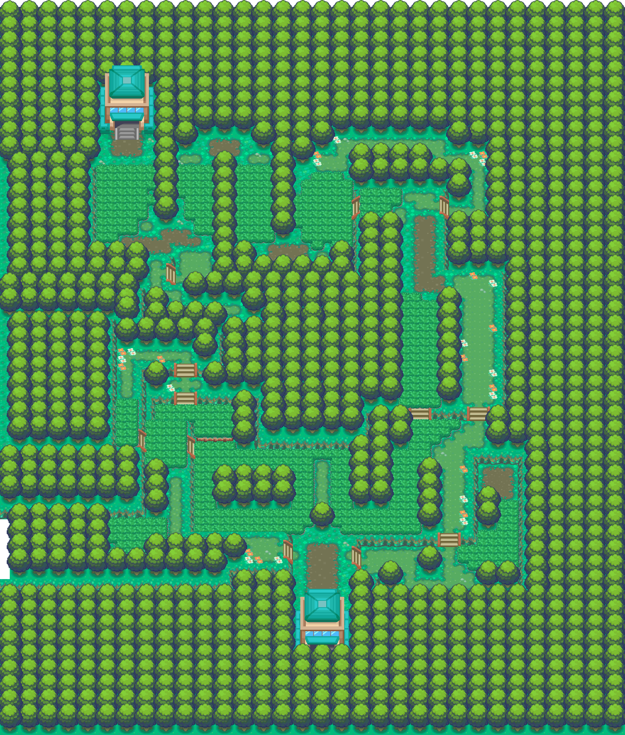 Viridian Forest map