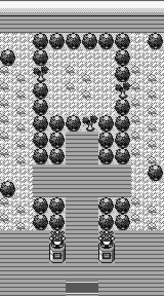 Celadon Gym map
